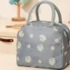 کیف حمل ظرف غذا طرح دار